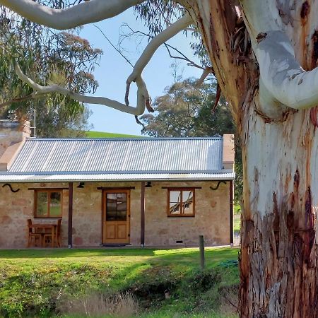 Bungaree Station Bed & Breakfast Clare Exterior photo